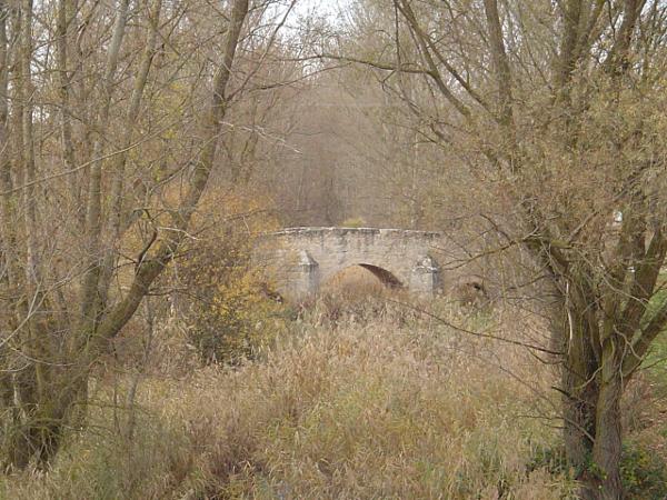 Puente medieval